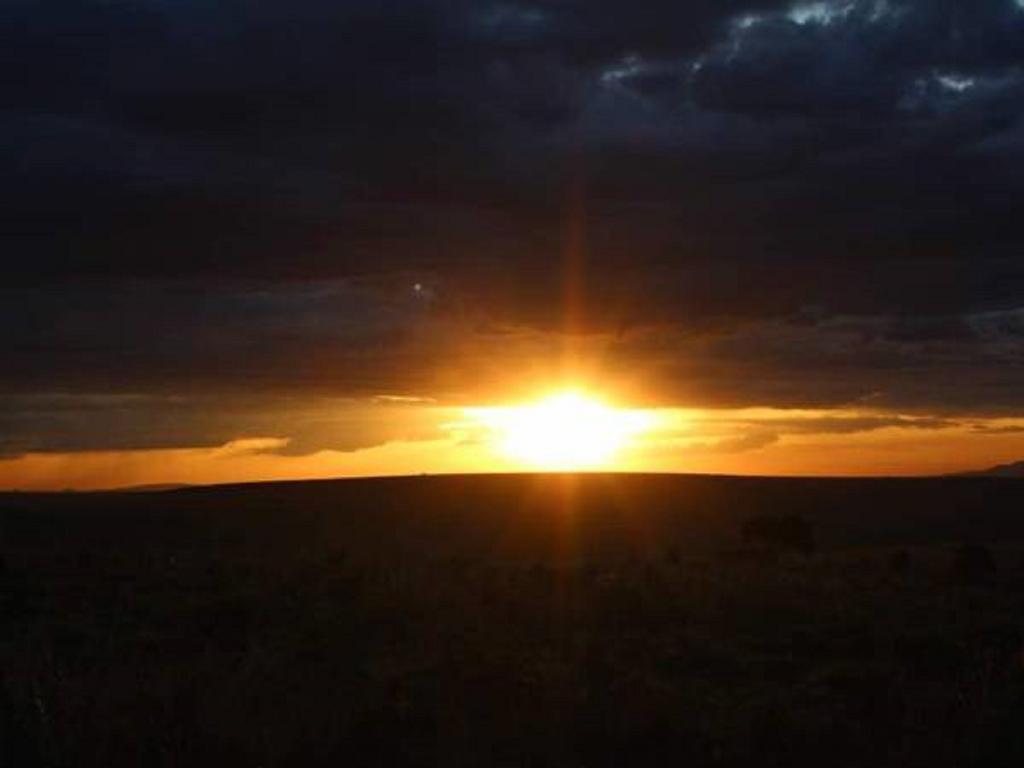 Hammerkop Migration Camp Bed & Breakfast Maasai Mara Exterior photo